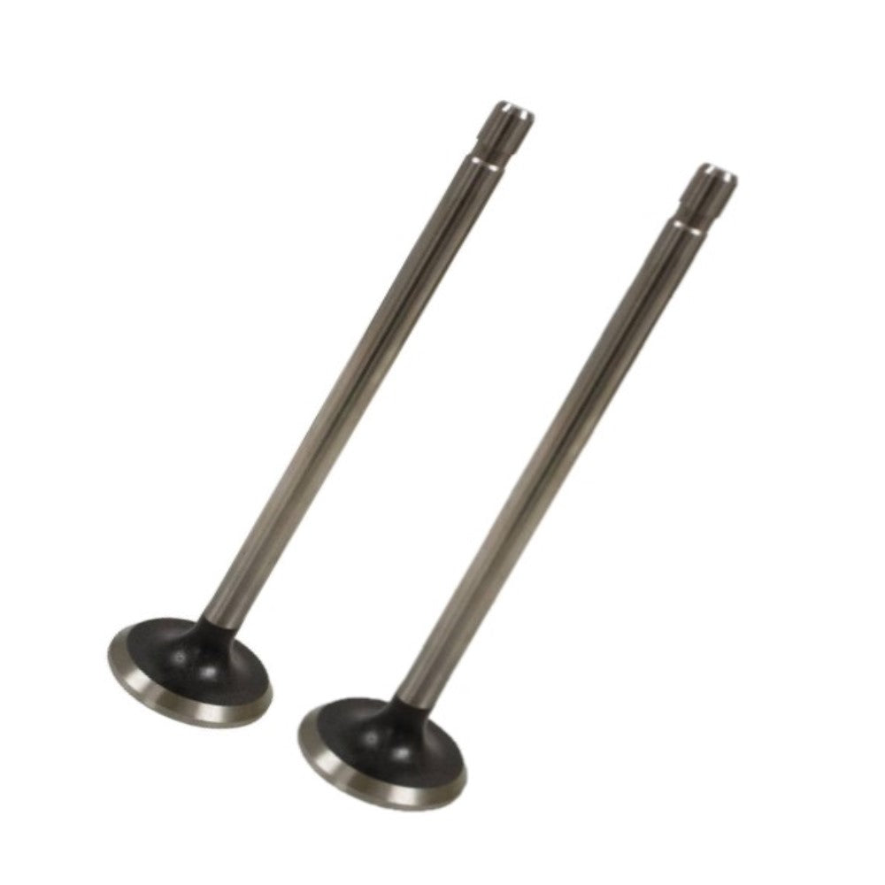 Intake and Exhaust Valve Set fits Kohler K321 M14 K341 M16