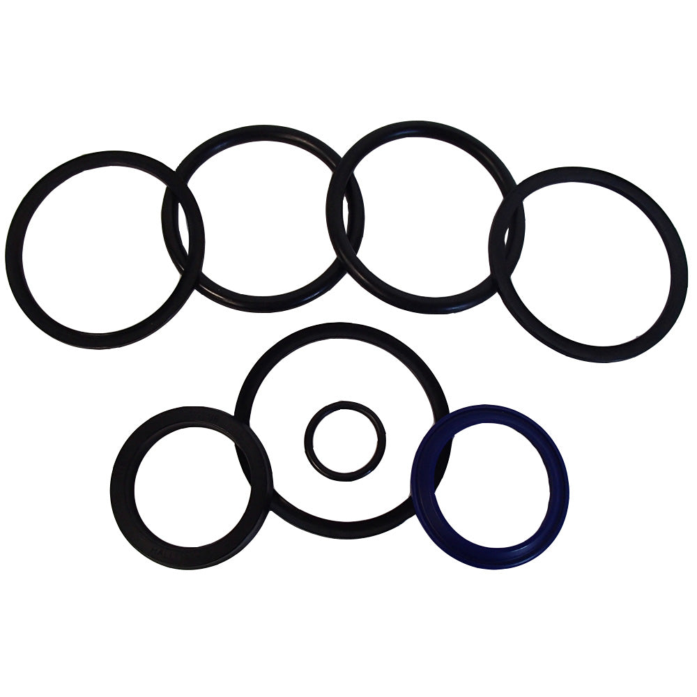 Cylinder Seal Kit Fits Gehl HL4300 HL4400 HL4500 HL4600 HL4700 Models 061162