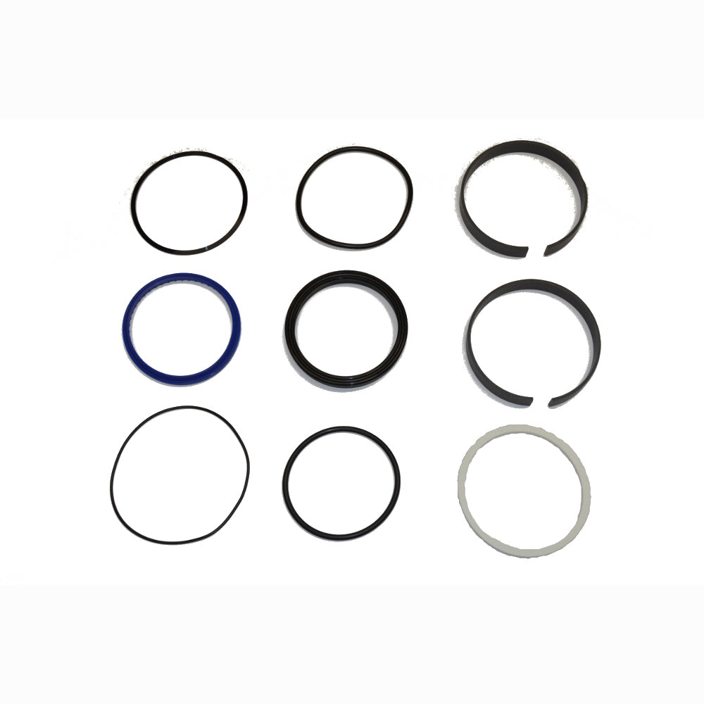1100P359F1 Cylinder Seal Kit Fits P&H Crane