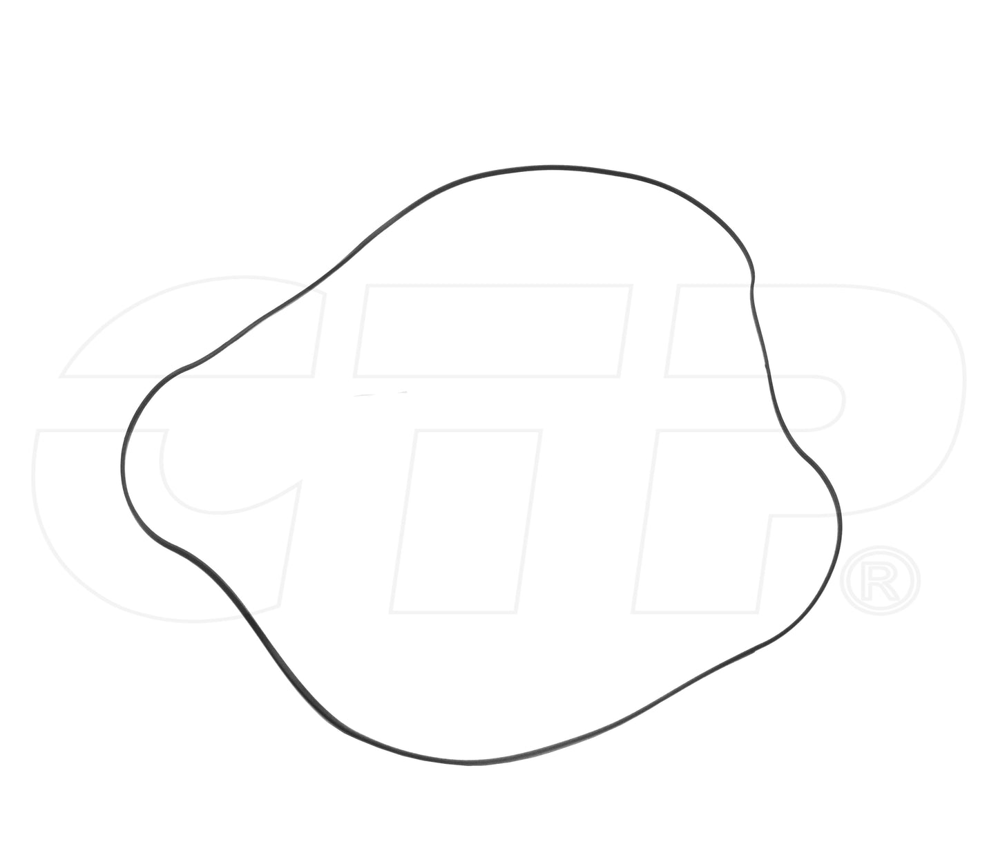 1156913 Seal D Ring Fits Caterpillar Models