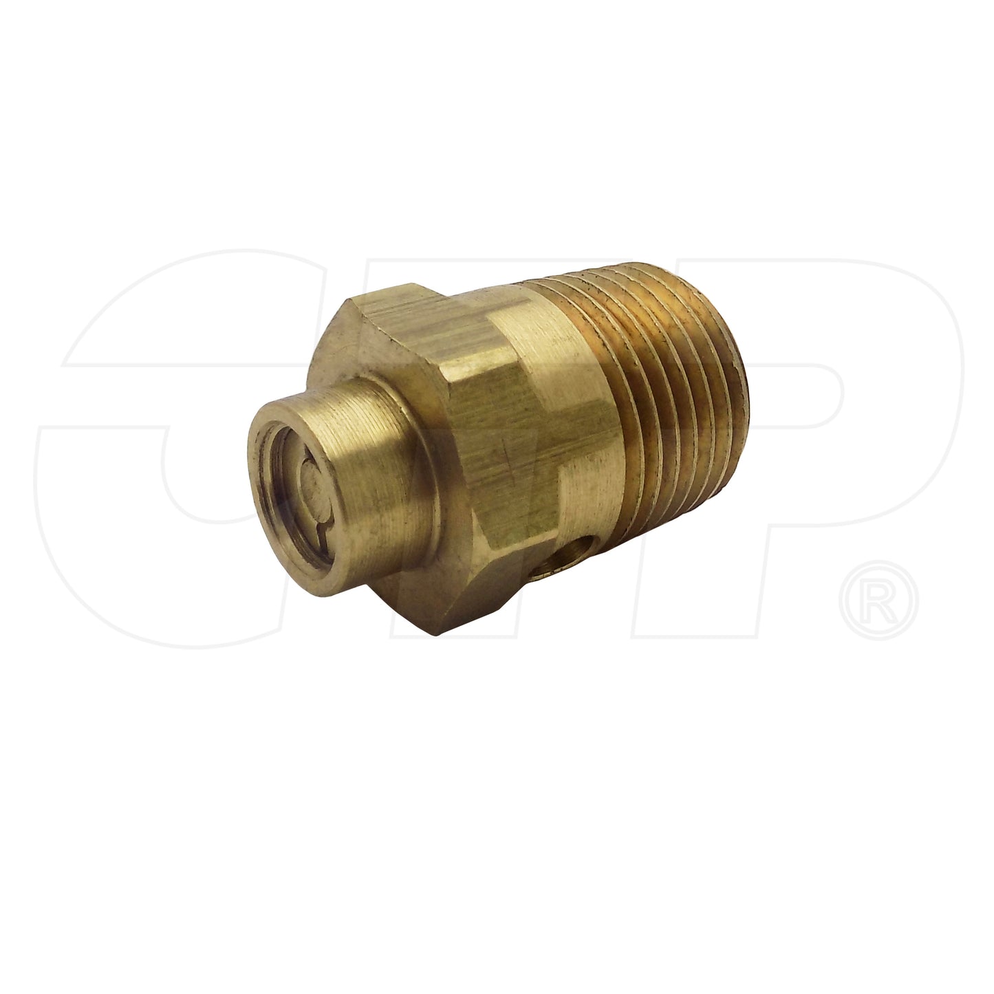 1245572 Valve Safe Fits Caterpillar Models