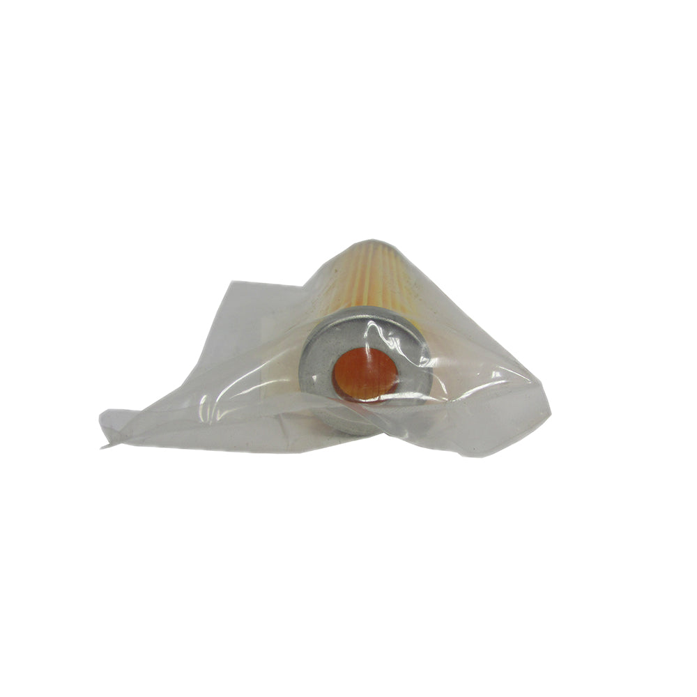 Fuel Filter Fits Woods Replaces 10450-055710