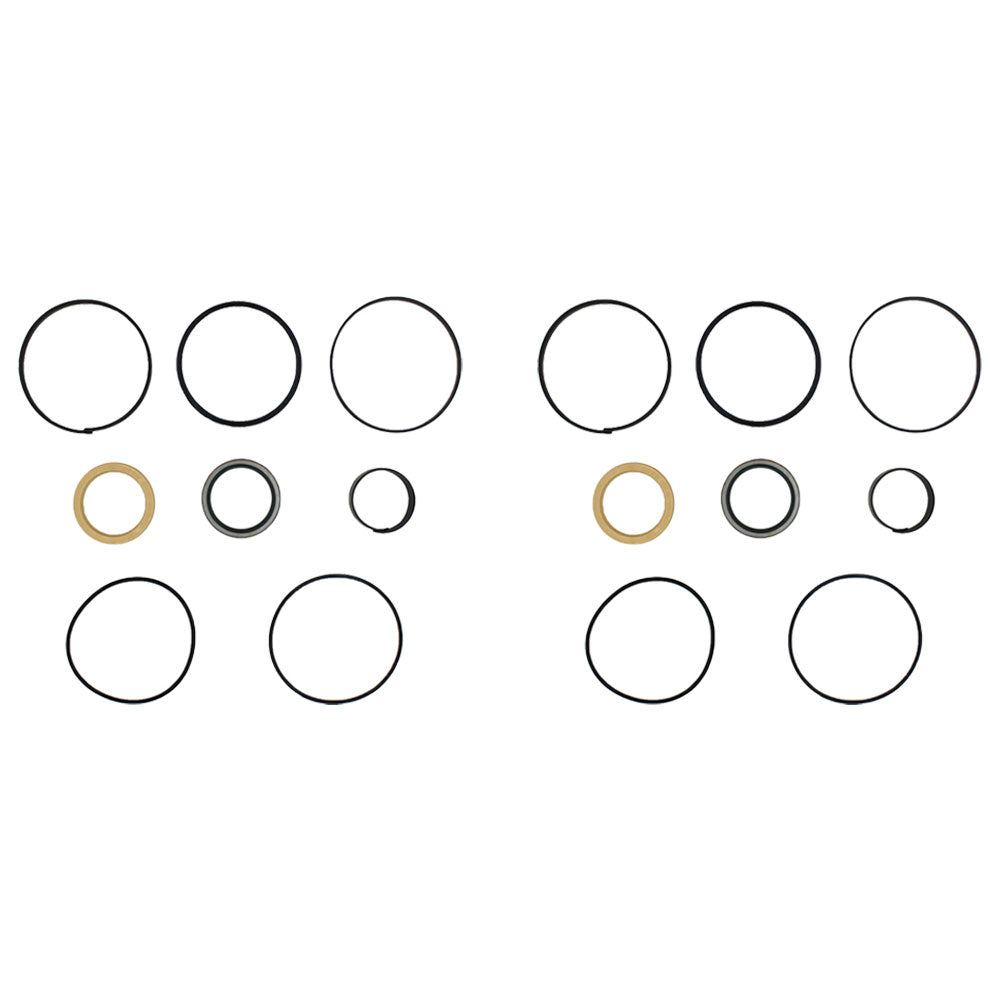 Qty 2: Cylinder Seal Kit
 Fits Case Replaces 1543275C1