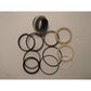 Fits Case 1543294C1 G109504 Hydraulic Cylinder Seal Kit