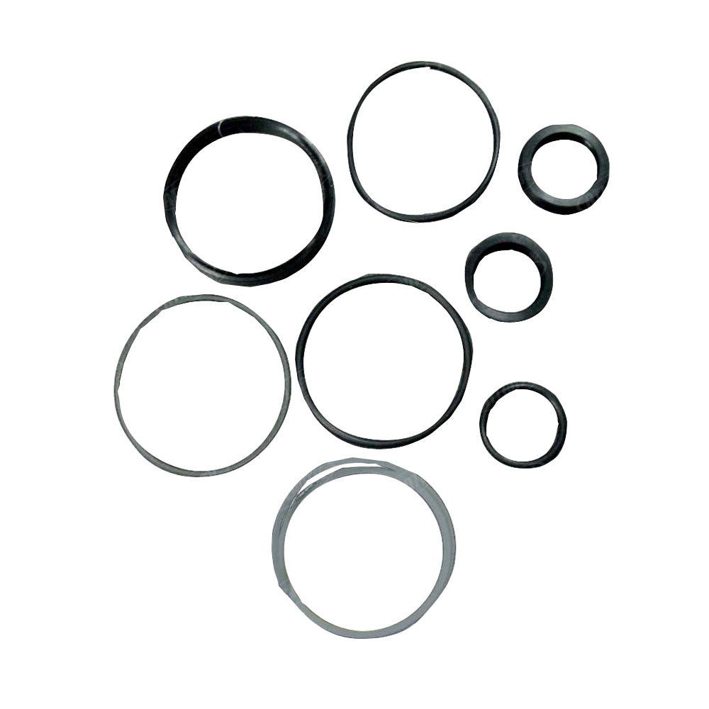 1201-1260 - Seal Kit Fits Massey Ferguson