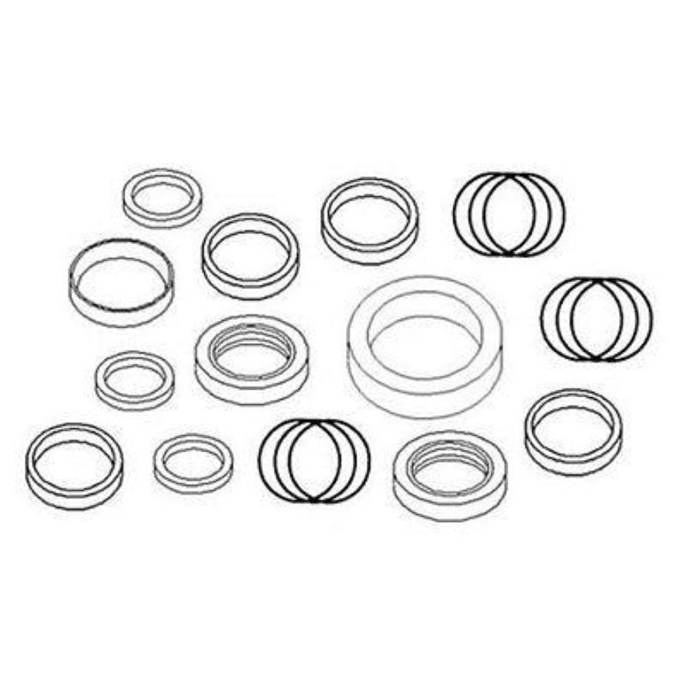 DIPPER CYLINDER SEAL KIT 1607725M91 Fits Massey Ferguson 54A BACKHOE