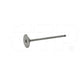 1632431 Valve-Inlet Fits Caterpillar Models