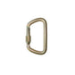 16837 LARGE D STEEL CARABINER