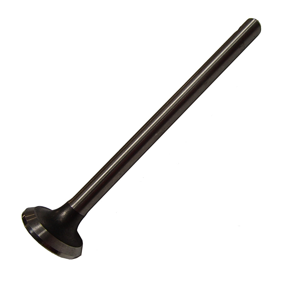Fits Massey Ferguson Intake Valves for Z120 1751518m1