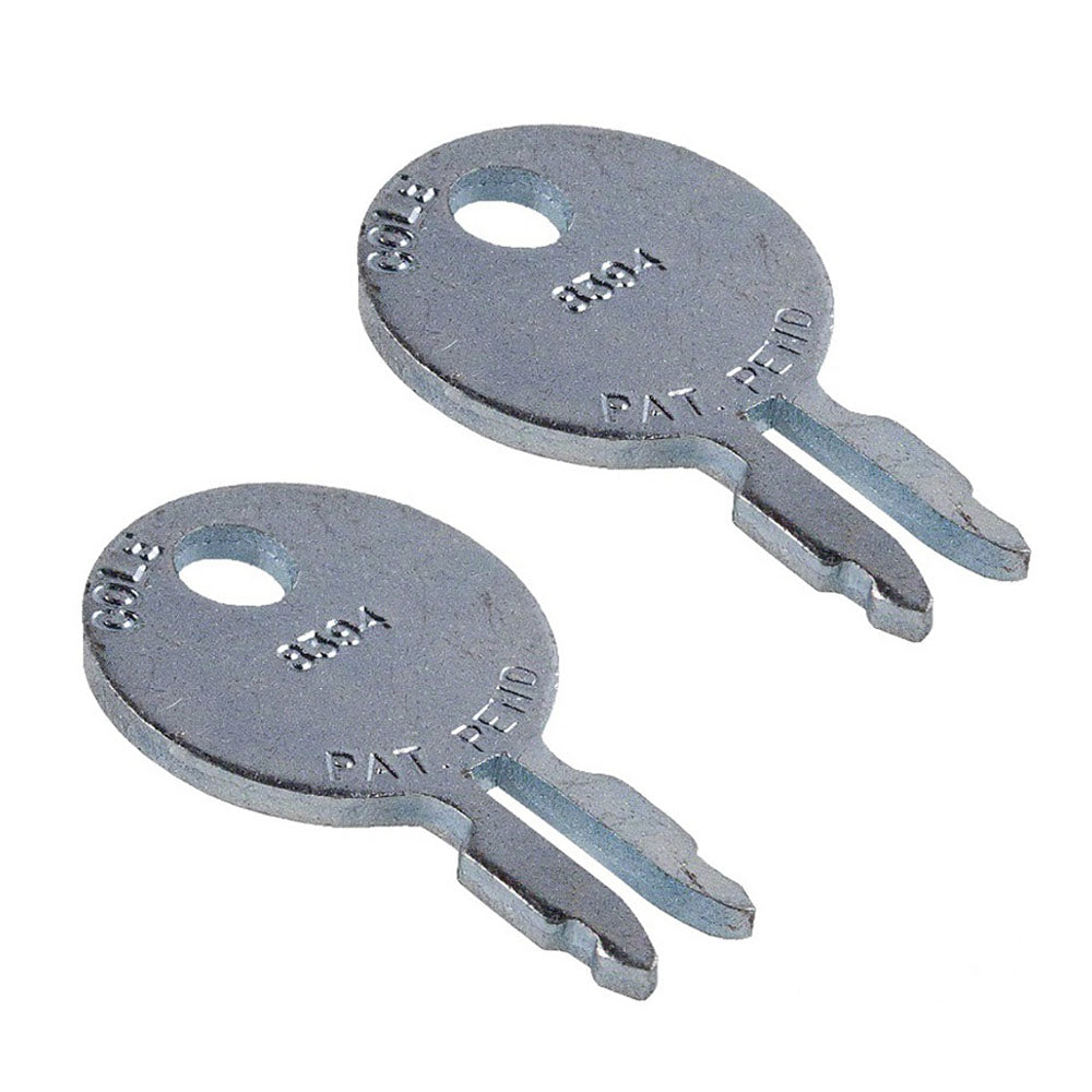 Qty 2: Ignition Keys Fits Massey Ferguson Replaces 180292M1