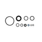 P/S Cylinder O-Ring Kit Fits Massey Ferguson Replaces 1810437V91