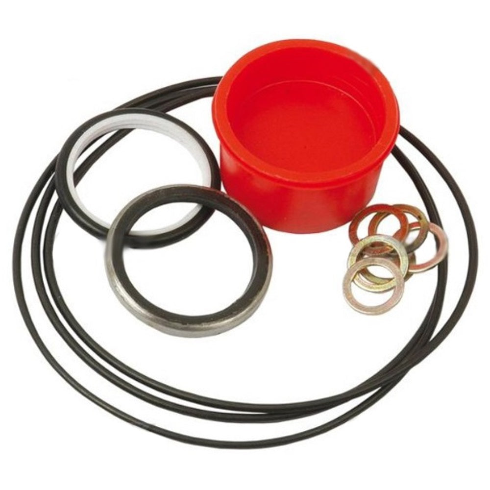 S.41499 Orbital Seal Kit () Fits Ford/New Holland