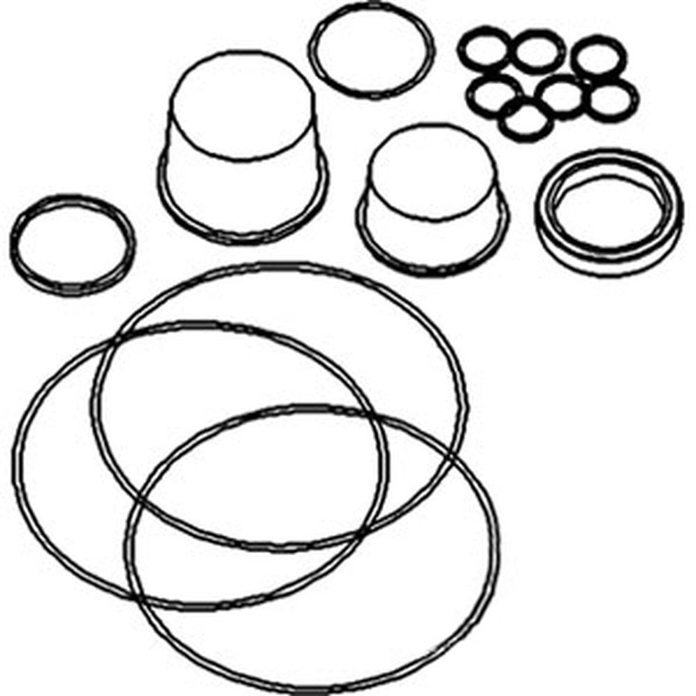 S.41499 Orbital Seal Kit () Fits Massey Ferguson
