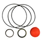 S.41499 Orbital Seal Kit () Fits Case IH