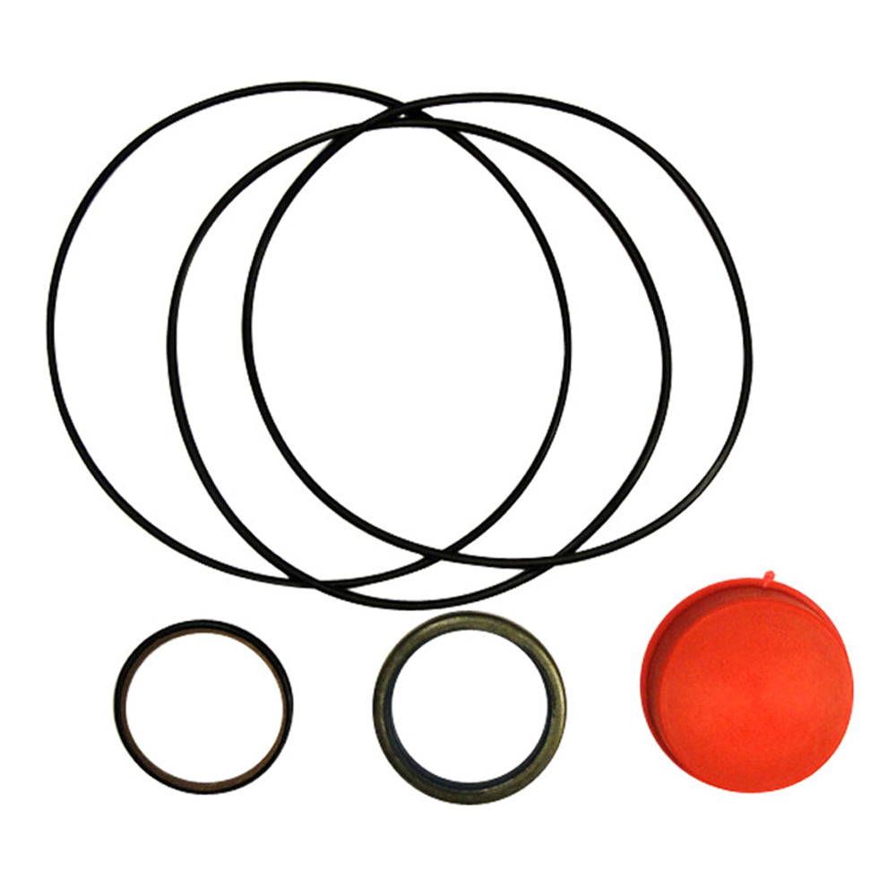 S.41499 Orbital Seal Kit () Fits Massey Ferguson