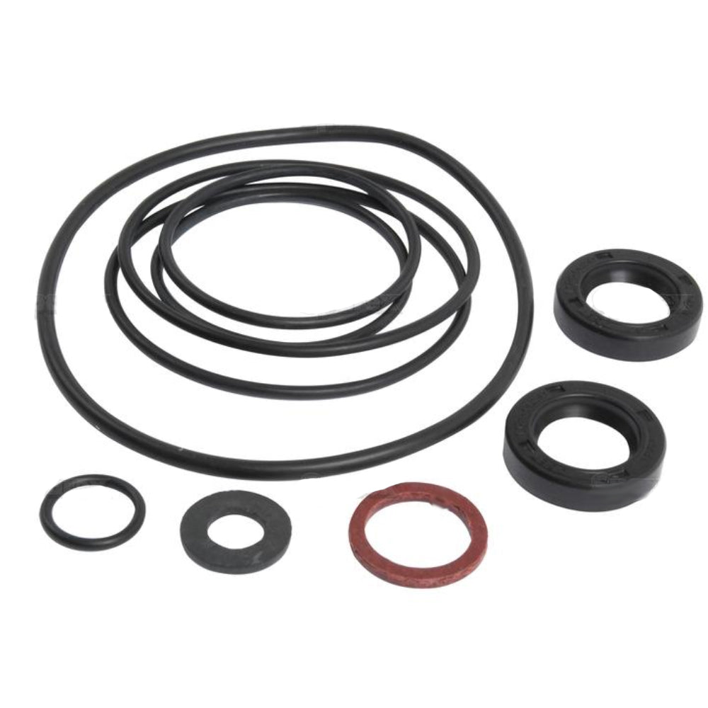 Power Steering Pump Kit Fits Landini Replaces 1810509M91