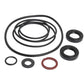1810509M91 Power Steering Pump Seal Kit Fits Massey Ferguson Models 165 168