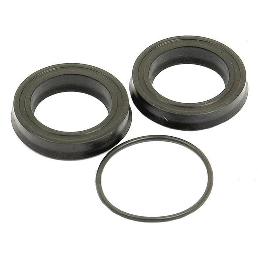 Slave Cylinder Seal Kit Fits Massey Ferguson Replaces 1810917M1