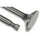 Engine Exhaust Valve Fits Massey Ferguson Models