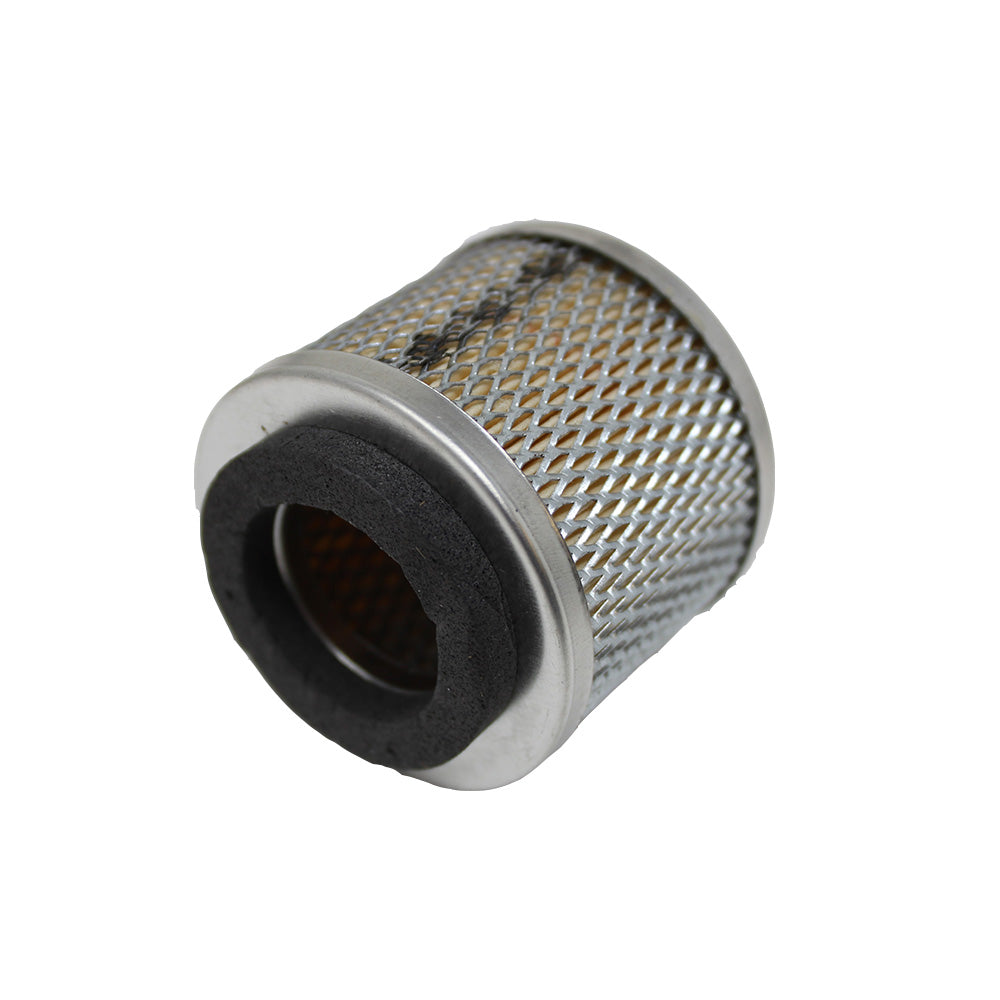 S.40160 Power Steering Filter - Element - Fits Massey Ferguson