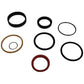 Hydraulic Lift Cylinder Seal Kit Fits Owatonna Skid Steer 342