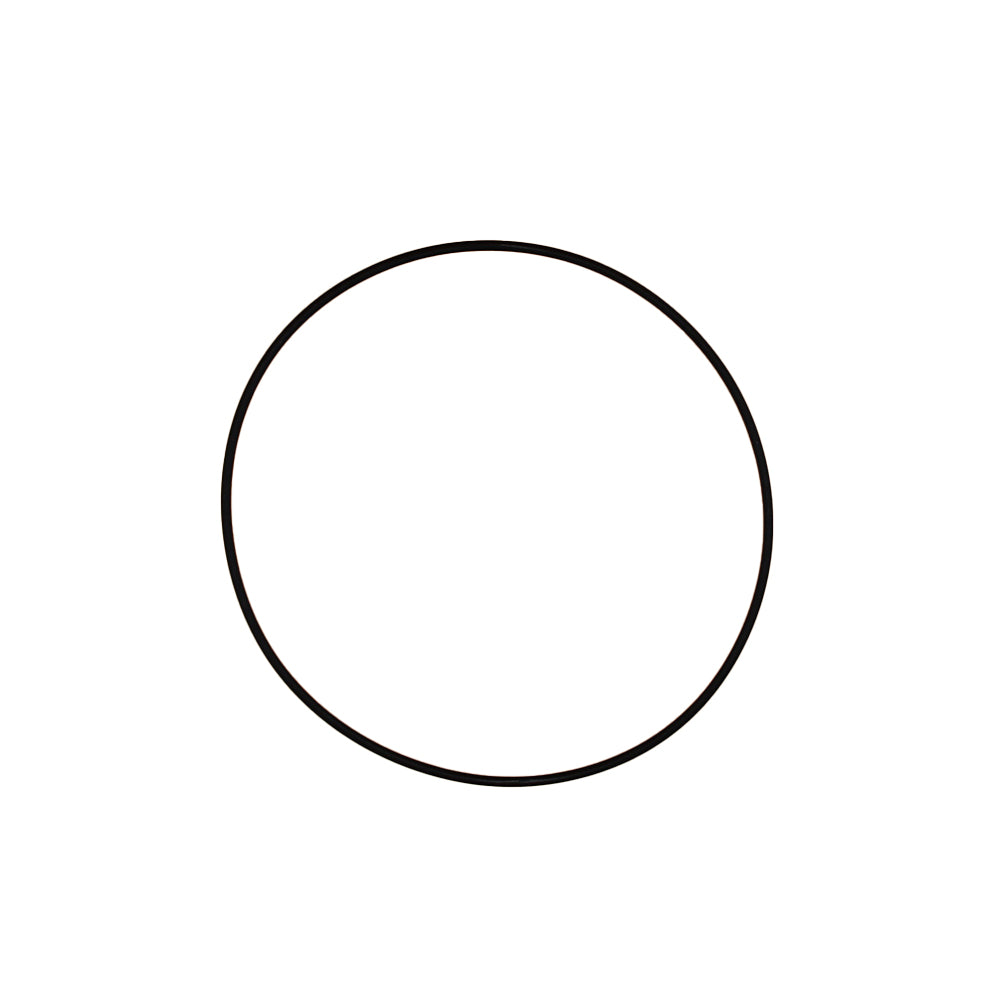 O-Ring Fits Case/International Harvester Replaces 190492A1