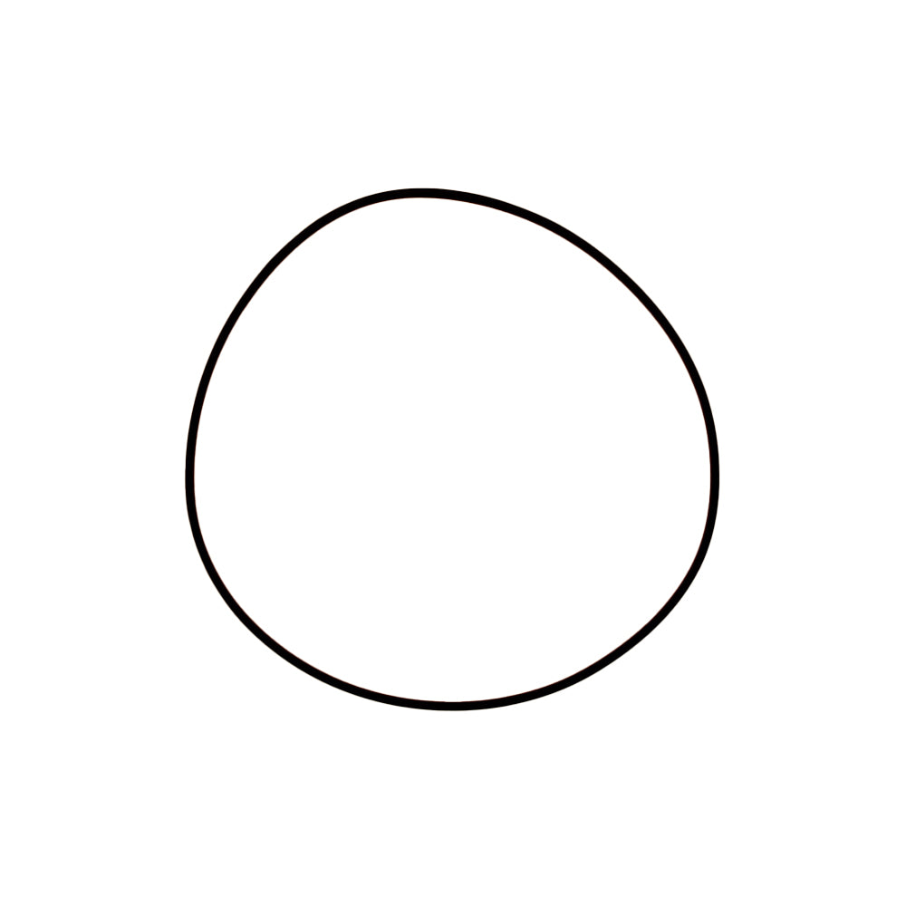 O-Ring Fits Case Replaces 190493A1