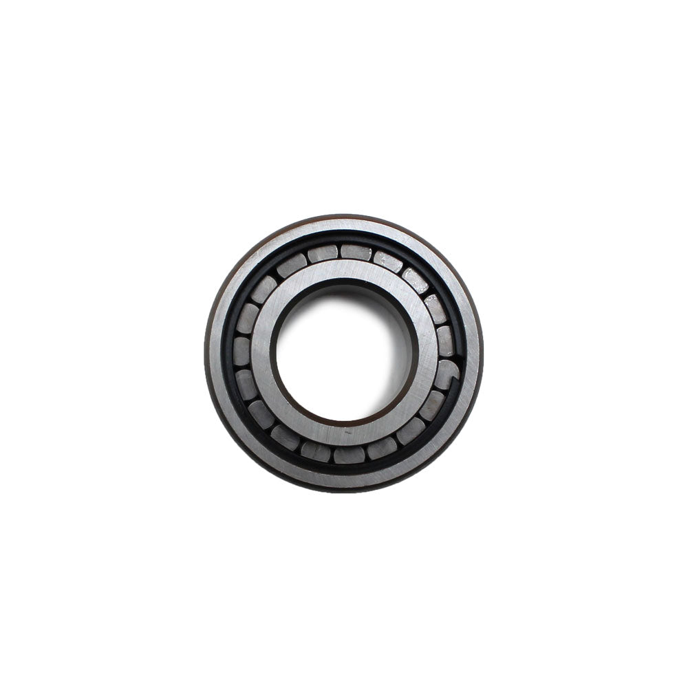 Rear Differential Pinion Bearing Fits Massey Ferguson 165 275 135 65 230 265 35
