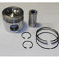 1979297PK Piston Kit Fits Caterpillar Models
