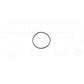 1N3557 Seal O Ring Fits Caterpillar Models