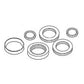 1R3116 Hydraulic Cylinder Seal Kit for Farmhand Equipment F17-A Rod & Bore