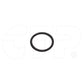 2072755 Seal O Ring Fits Caterpillar Models