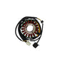 Stator Alternator Generator 21003-1154 For Kawasaki EX250F Ninja 250R, EL250 Eli