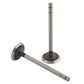 211-1024 Intake Valve - Distillate Fits IH / Fits FARMALL