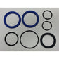 25031 Cylinder Seal Kit Fits New Holland 205 210 3100 3100 Loader 3150 340 345++