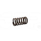 2816157 Spring-Valve (Outer) Fits Caterpillar Models