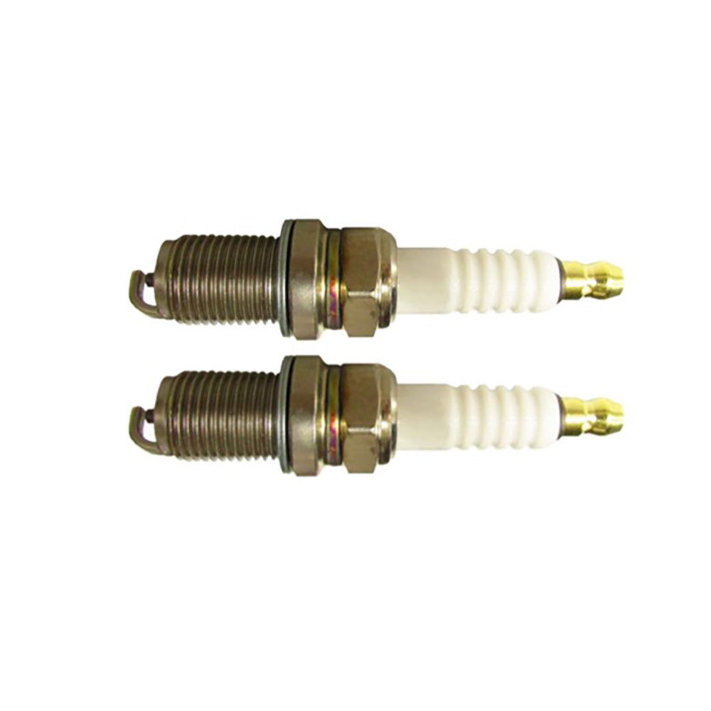 603059 Engine Maintenance Kit Fits Hustler Raptor SD SDX Fits Champion RC12YC