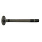 3043997R12 New Rear Axle Fits Case-IH Tractor Models 354 364 384 B275 +