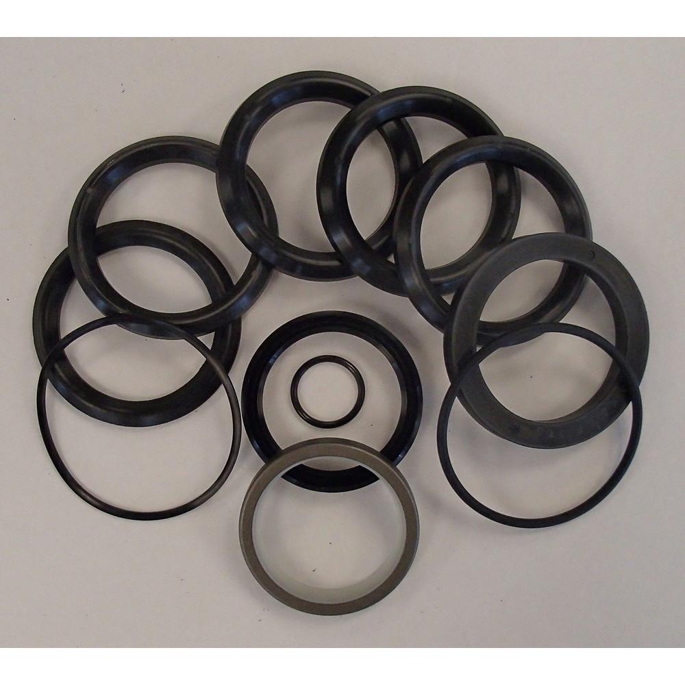 Cylinder Seal Kit Fits Ford/New Holland Replaces 309984