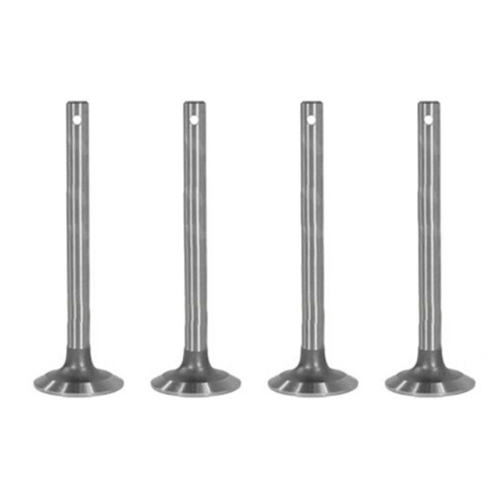 1750070M1 New Set of 4 Intake Valves Fits Massey Ferguson TO30 F40 TO35 135 +