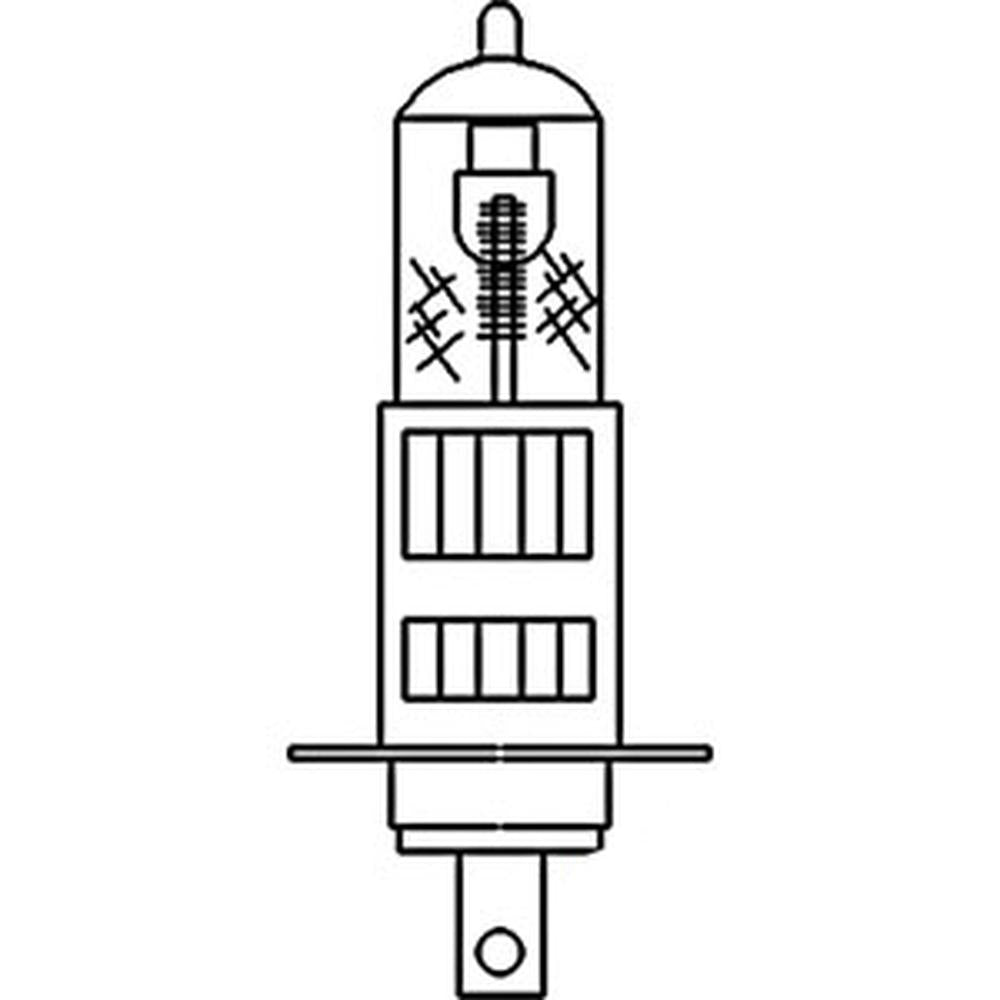 Halogen Light Bulb 12 Volt 55 Watt 3405180M1 Fits Massey Ferguson Tractor VLC044
