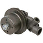 Water Pump 4222002M91 Fits Massey Ferguson 4225 4235