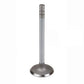 IHS5301-STR Exhaust Valve Fits International T340 T5 130 140 230 240 330 340 404