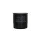 Oil Filter Fits John Deere LX280 LX288 LX289 X300 X300R X304 X320 X324 X340 X360