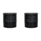 Qty 2: Lube Filter Fits Cub Cadet Replaces 300314