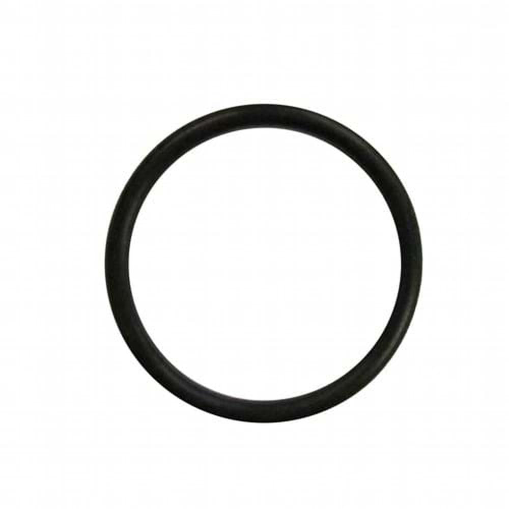 386867 Hitch Pump O-Ring Fits International