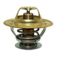 Thermostat Fits White Oliver Replaces 4823210