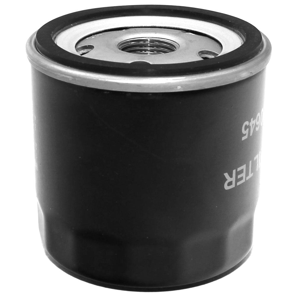 Oil Filter Fits Briggs and Stratton Replaces 4153