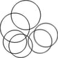 S.57725 O-Ring Kit, Std, 539535R91 Fits Case IH