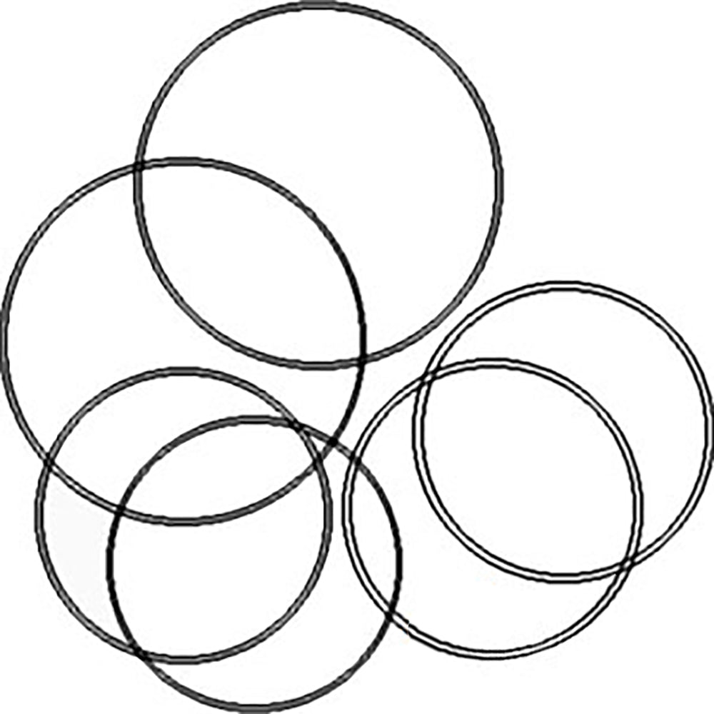 S.57725 O-Ring Kit, Std, 539535R91 Fits Case IH